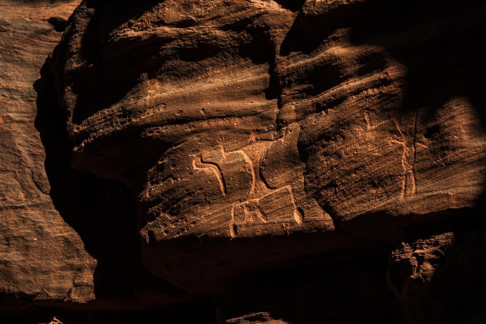 Milky Way Nights Camp Campingplatz Wadi Rum
